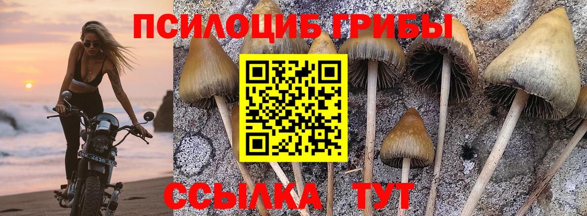 Галлюциногенные грибы ЛСД  Псилоцибиновые грибы Cubensis  Обнинск  Вход с VPN 