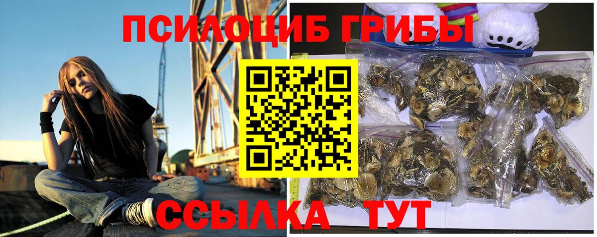 Галлюциногенные грибы GOLDEN TEACHER Обнинск